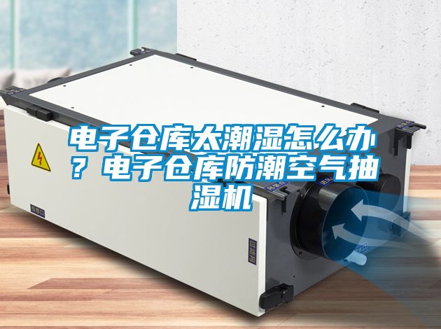 電子倉庫太潮濕怎么辦？電子倉庫防潮空氣抽濕機