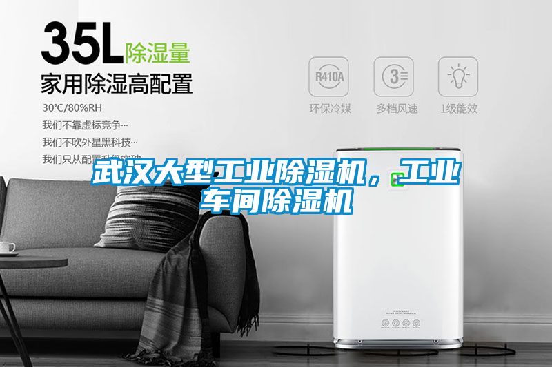 武漢大型工業(yè)除濕機，工業(yè)車(chē)間除濕機