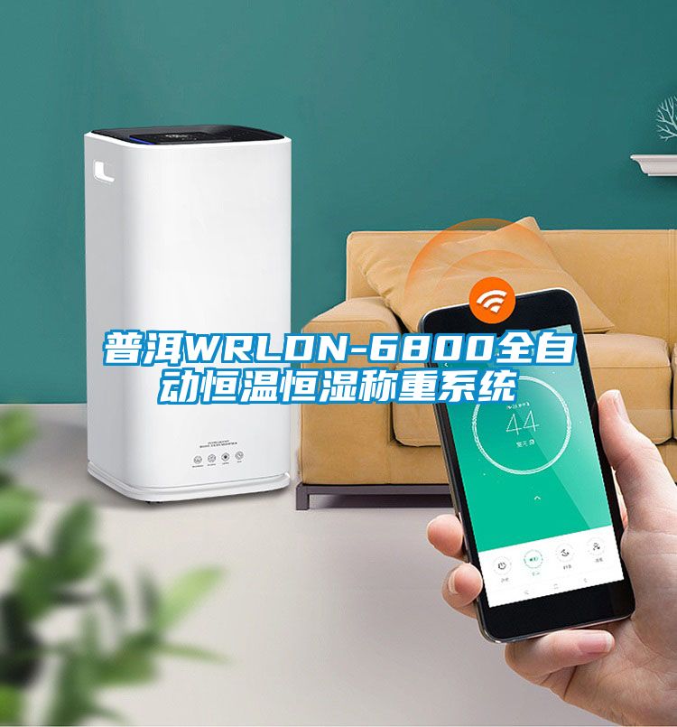 普洱WRLDN-6800全自動(dòng)恒溫恒濕稱(chēng)重系統