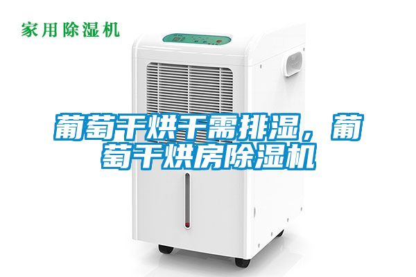葡萄干烘干需排濕，葡萄干烘房除濕機