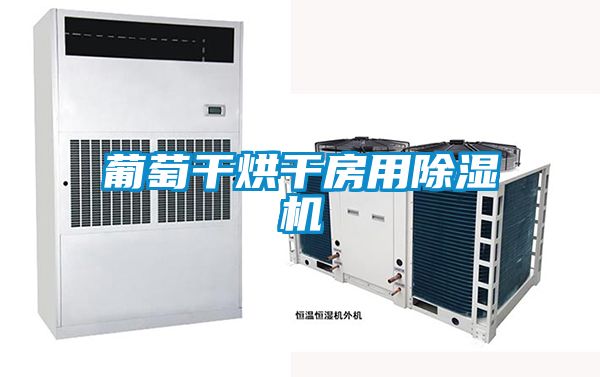 葡萄干烘干房用除濕機