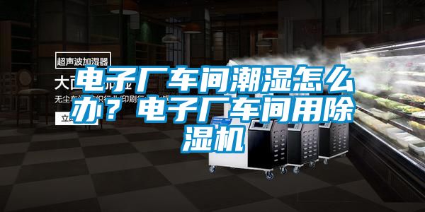電子廠(chǎng)車(chē)間潮濕怎么辦？電子廠(chǎng)車(chē)間用除濕機