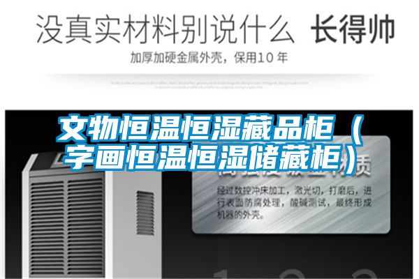 文物恒溫恒濕藏品柜（字畫(huà)恒溫恒濕儲藏柜）