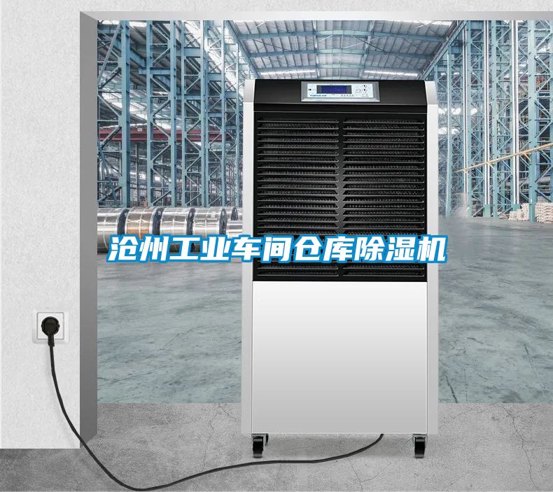 滄州工業(yè)車(chē)間倉庫除濕機