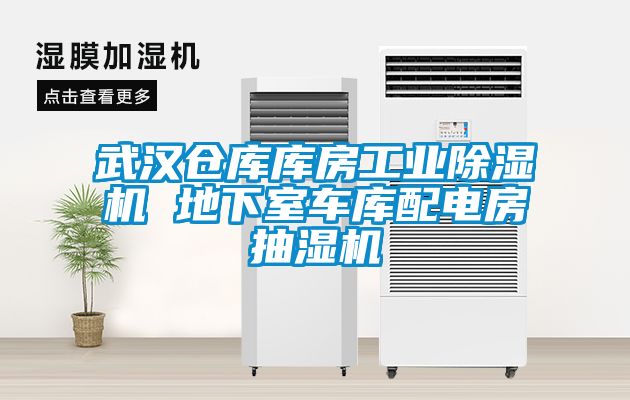 武漢倉庫庫房工業(yè)除濕機 地下室車(chē)庫配電房抽濕機