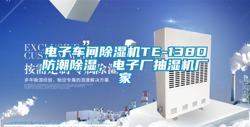 電子車(chē)間除濕機TE-138D防潮除濕，電子廠(chǎng)抽濕機廠(chǎng)家