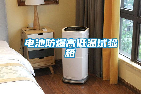 電池防爆高低溫試驗箱