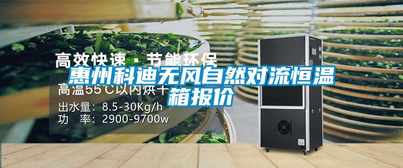 惠州科迪無(wú)風(fēng)自然對流恒溫箱報價(jià)