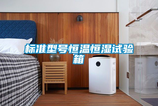 標準型號恒溫恒濕試驗箱