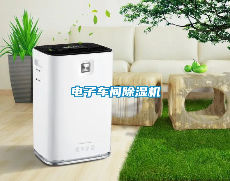 電子車(chē)間除濕機