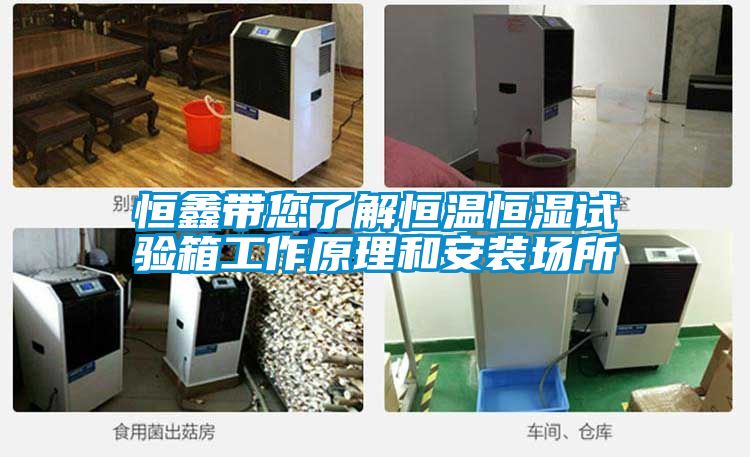 恒鑫帶您了解恒溫恒濕試驗箱工作原理和安裝場(chǎng)所