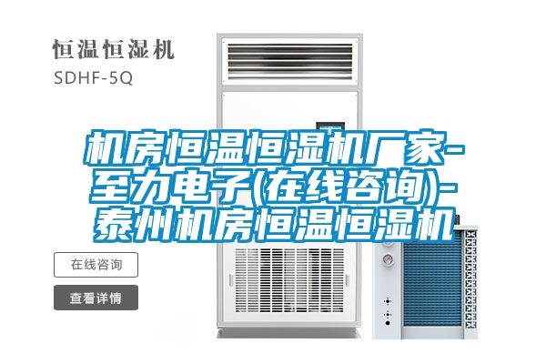 機房恒溫恒濕機廠(chǎng)家-至力電子(在線(xiàn)咨詢(xún))-泰州機房恒溫恒濕機