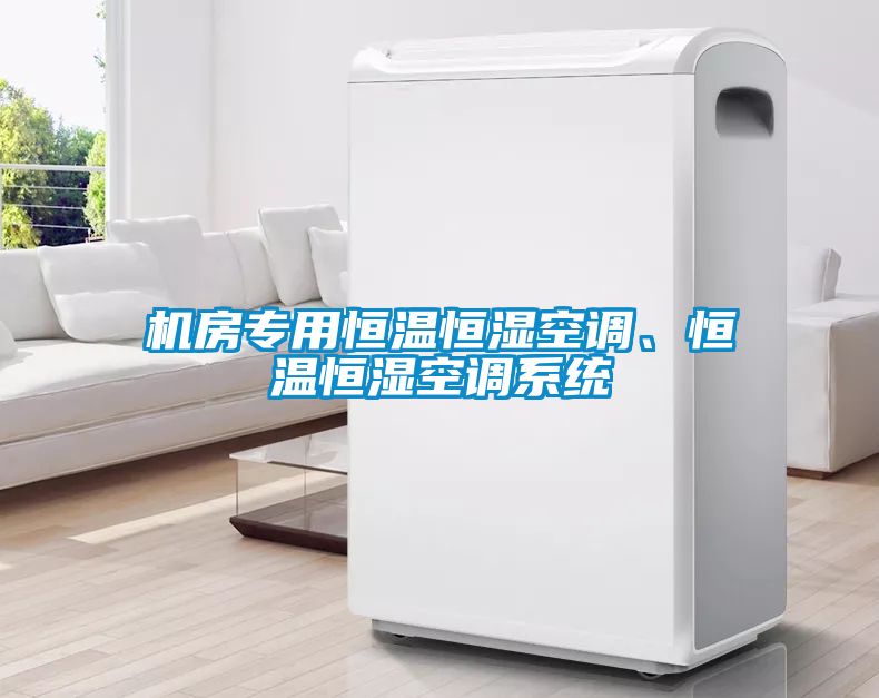 機房專(zhuān)用恒溫恒濕空調、恒溫恒濕空調系統