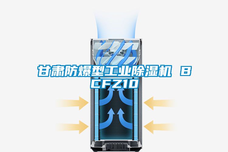 甘肅防爆型工業(yè)除濕機 BCFZ10