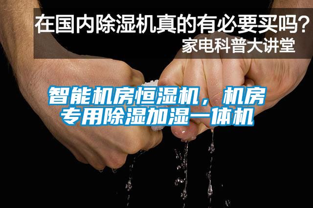 智能機房恒濕機，機房專(zhuān)用除濕加濕一體機