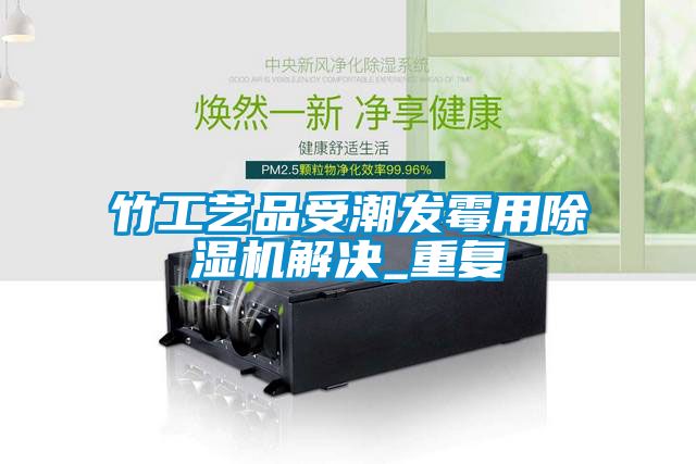 竹工藝品受潮發(fā)霉用除濕機解決_重復