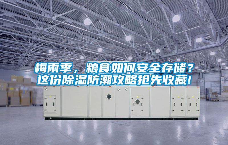 梅雨季，糧食如何安全存儲？這份除濕防潮攻略搶先收藏!