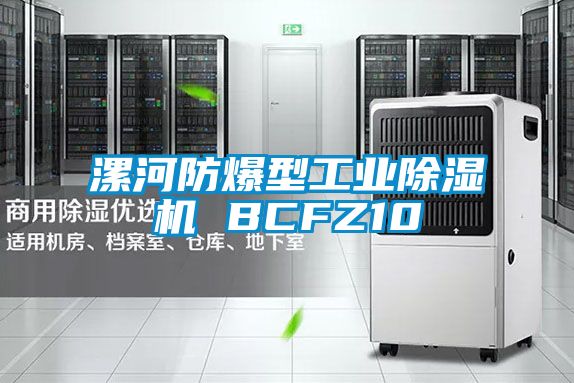 漯河防爆型工業(yè)除濕機 BCFZ10