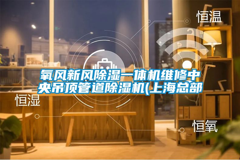 氧風(fēng)新風(fēng)除濕一體機維修中央吊頂管道除濕機(上?？偛?/></p>
<p style=