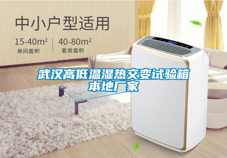 武漢高低溫濕熱交變試驗箱本地廠(chǎng)家