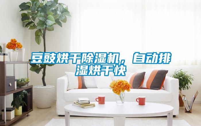 豆豉烘干除濕機，自動(dòng)排濕烘干快