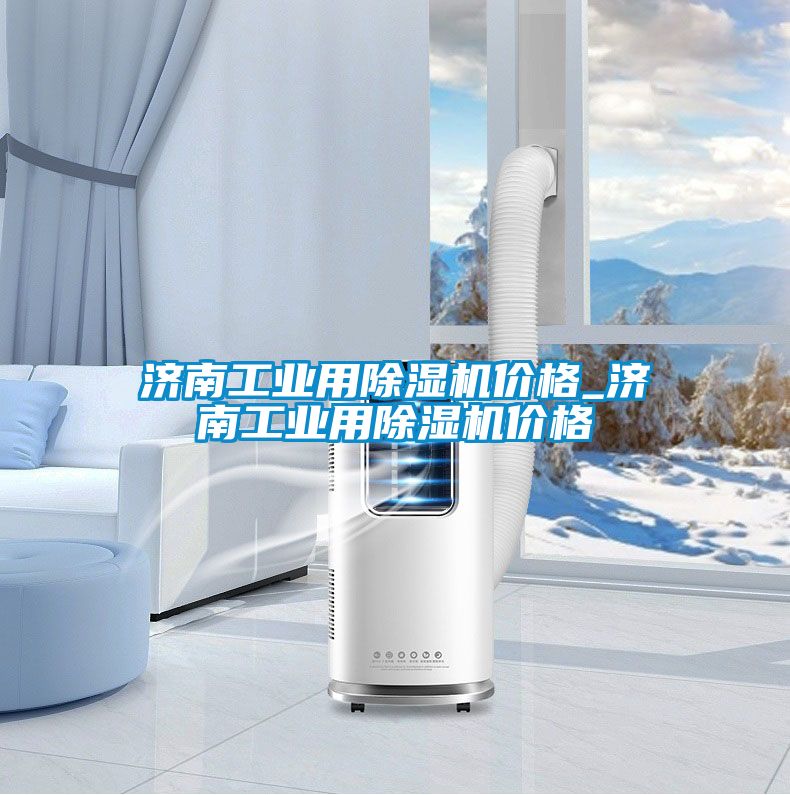 濟南工業(yè)用除濕機價(jià)格_濟南工業(yè)用除濕機價(jià)格