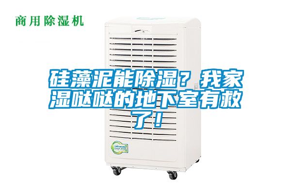 硅藻泥能除濕？我家濕噠噠的地下室有救了！