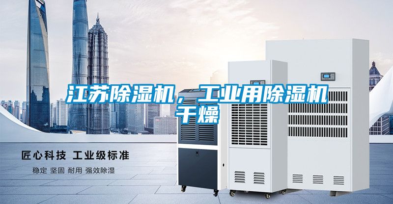 江蘇除濕機，工業(yè)用除濕機干燥