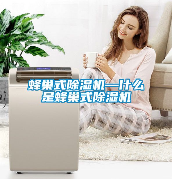 蜂巢式除濕機—什么是蜂巢式除濕機