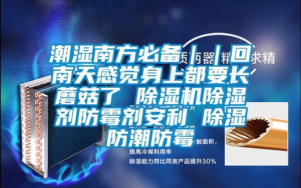 潮濕南方必備｜｜回南天感覺(jué)身上都要長(cháng)蘑菇了 除濕機除濕劑防霉劑安利 除濕防潮防霉
