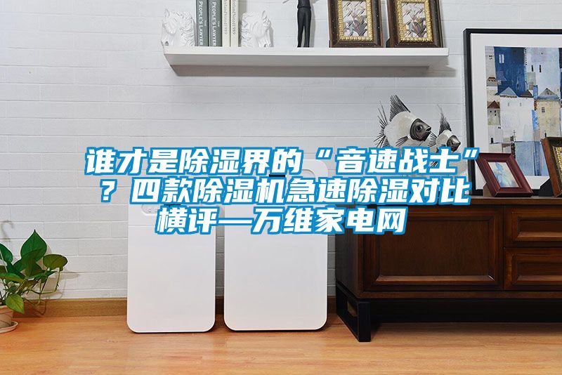 誰(shuí)才是除濕界的“音速戰士”？四款除濕機急速除濕對比橫評—萬(wàn)維家電網(wǎng)