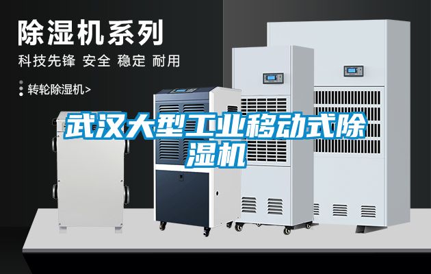 武漢大型工業(yè)移動(dòng)式除濕機
