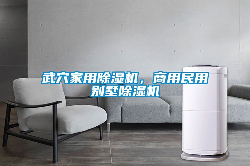 武穴家用除濕機，商用民用別墅除濕機