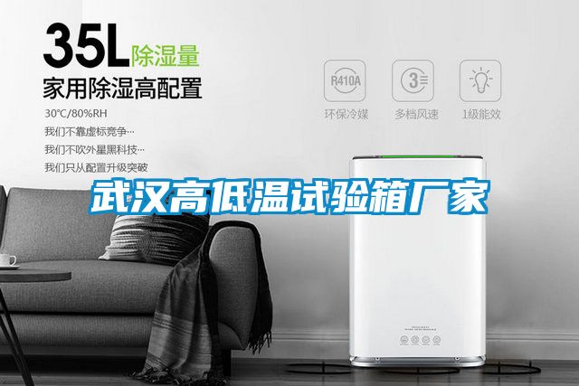 武漢高低溫試驗箱廠(chǎng)家