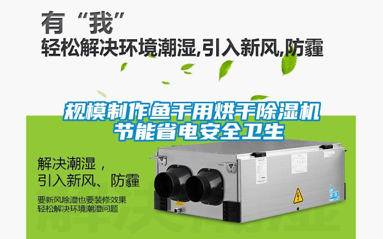 規模制作魚(yú)干用烘干除濕機 節能省電安全衛生