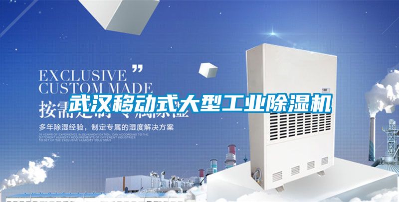 武漢移動(dòng)式大型工業(yè)除濕機