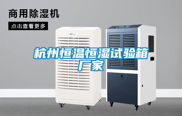 杭州恒溫恒濕試驗箱廠(chǎng)家