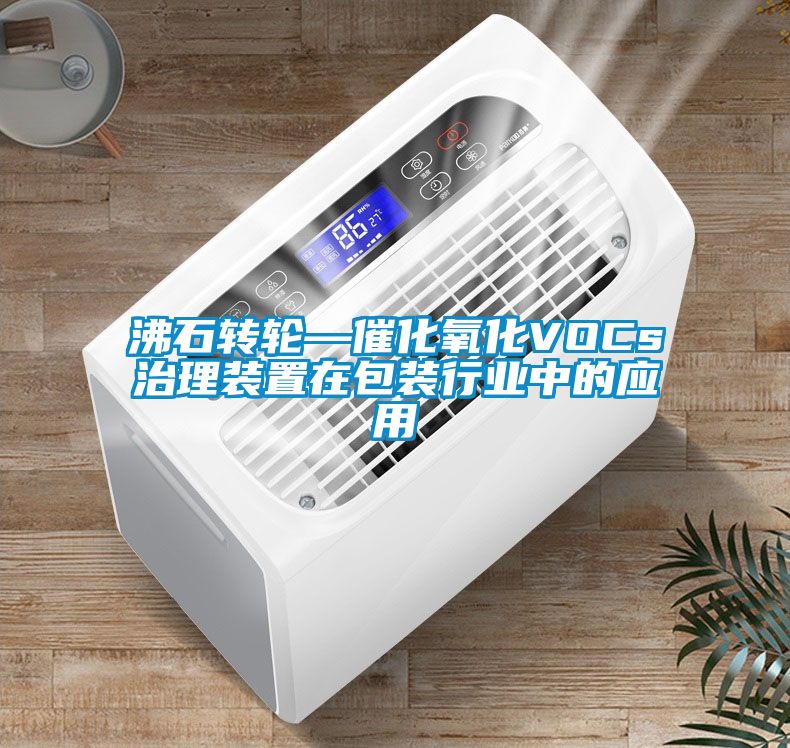沸石轉輪—催化氧化VOCs治理裝置在包裝行業(yè)中的應用