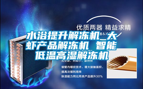 水浴提升解凍機 大蝦產(chǎn)品解凍機 智能低溫高濕解凍機