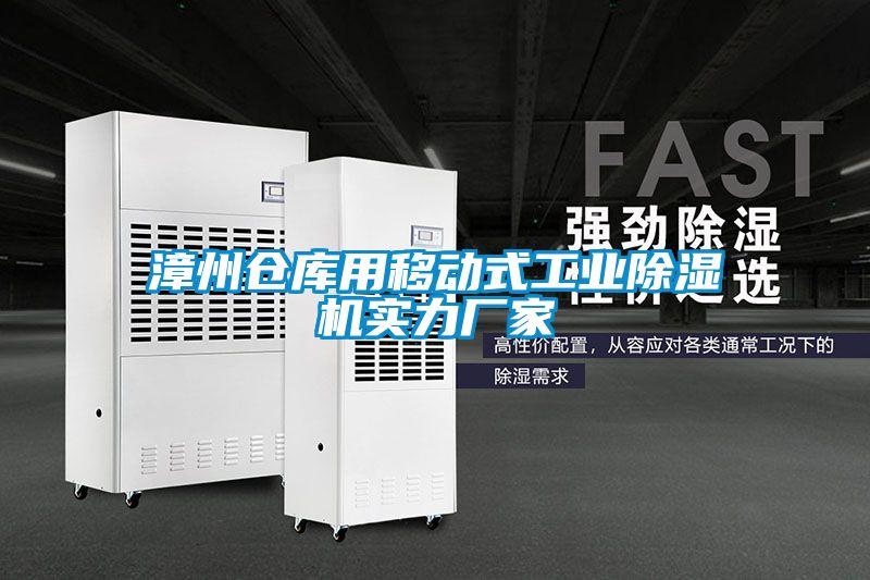 漳州倉庫用移動(dòng)式工業(yè)除濕機實(shí)力廠(chǎng)家
