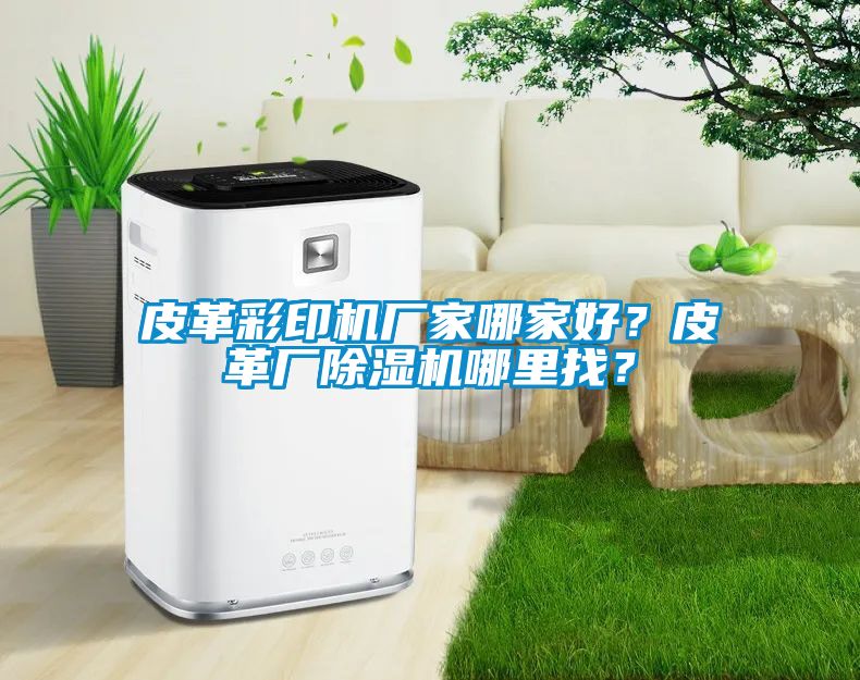 皮革彩印機廠(chǎng)家哪家好？皮革廠(chǎng)除濕機哪里找？