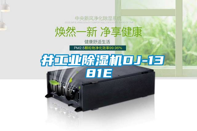 東井工業(yè)除濕機DJ-1381E