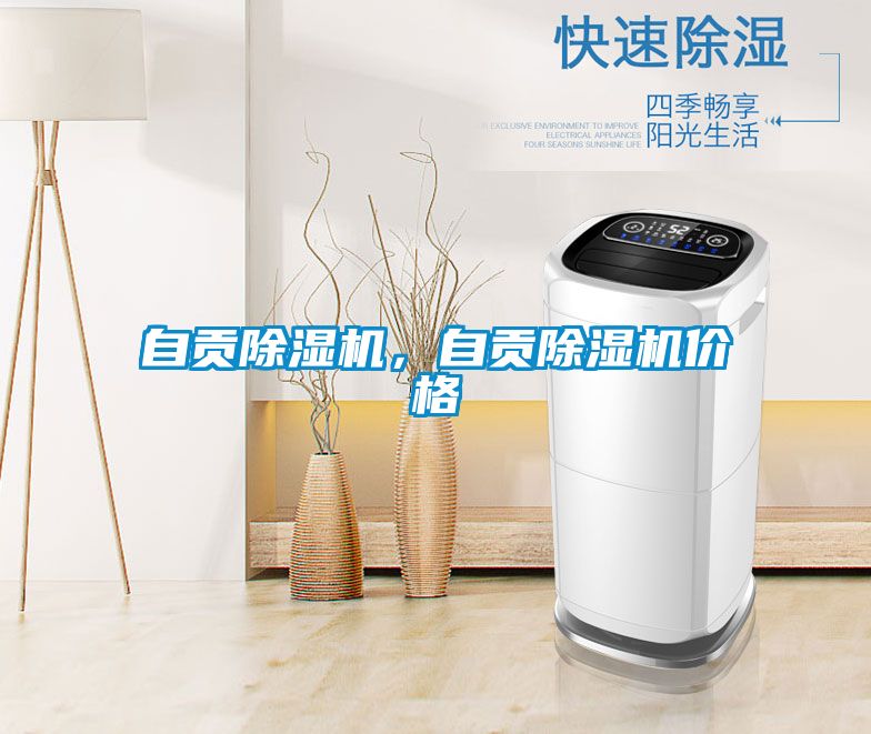 自貢除濕機，自貢除濕機價(jià)格