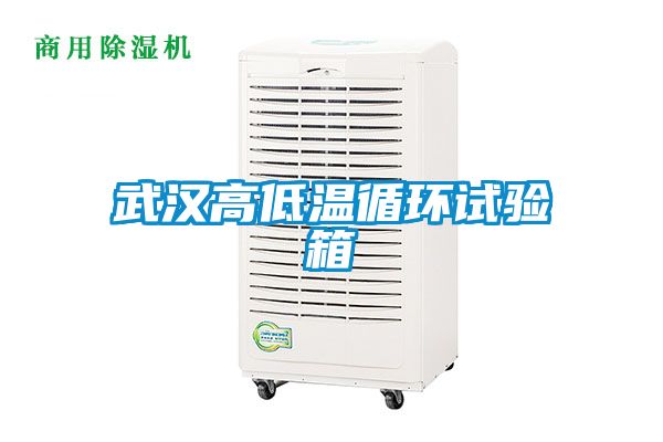 武漢高低溫循環(huán)試驗箱