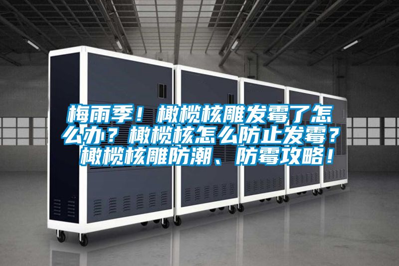 梅雨季！橄欖核雕發(fā)霉了怎么辦？橄欖核怎么防止發(fā)霉？ 橄欖核雕防潮、防霉攻略！