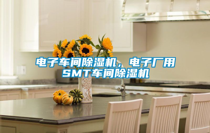 電子車(chē)間除濕機，電子廠(chǎng)用SMT車(chē)間除濕機