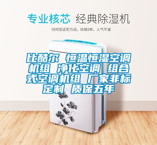 比酷爾 恒溫恒濕空調機組 凈化空調 組合式空調機組 廠(chǎng)家非標定制 質(zhì)保五年
