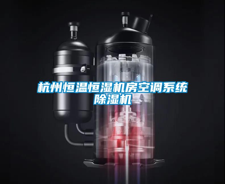 杭州恒溫恒濕機房空調系統除濕機