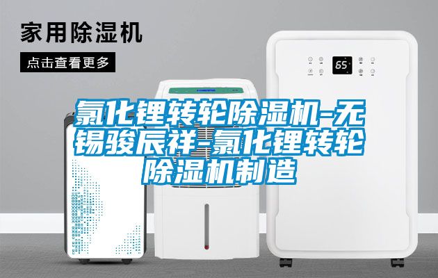 氯化鋰轉輪除濕機-無(wú)錫駿辰祥-氯化鋰轉輪除濕機制造