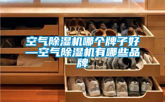 空氣除濕機哪個(gè)牌子好—空氣除濕機有哪些品牌